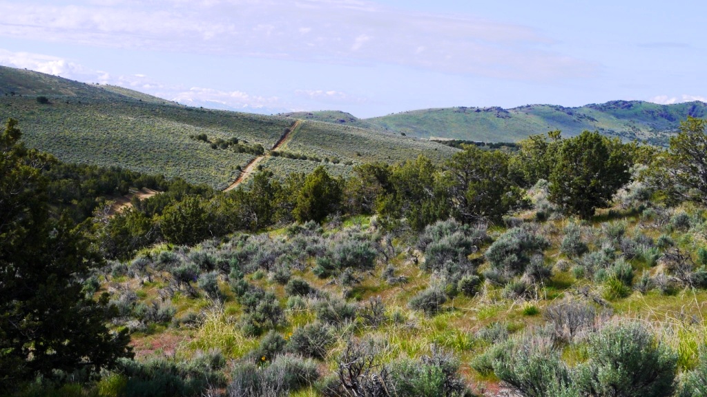 Last Chance Ranch Elko Nevada land for sale